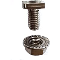 GAO Flora 20 tornillos de cabeza de martillo con tuerca de brida M6 x 12- acero inoxidable